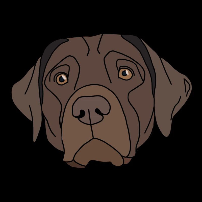 Conception de Labrador Retriever