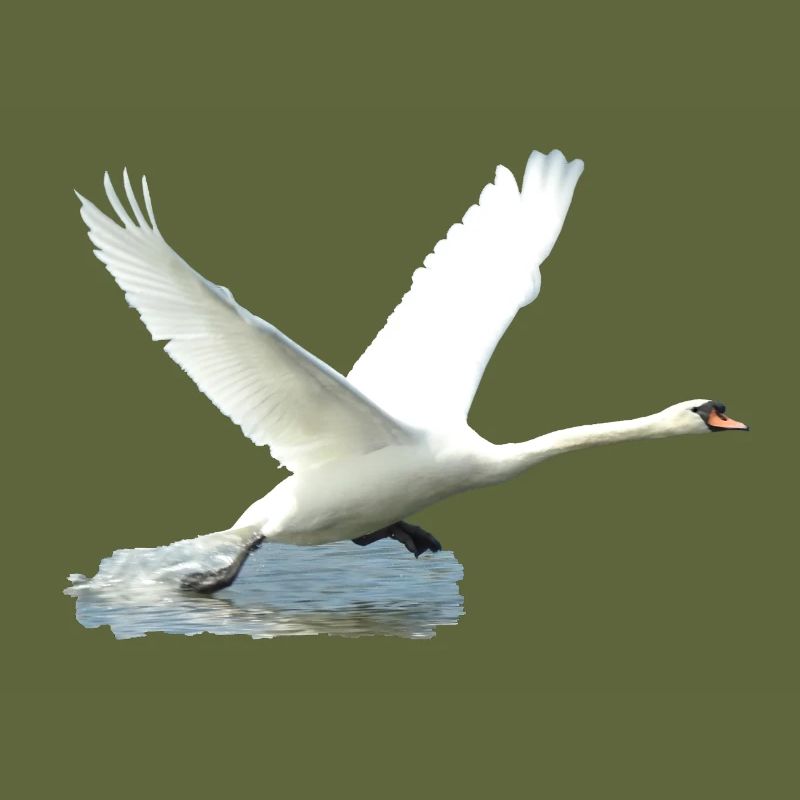 Here it's ready for take off