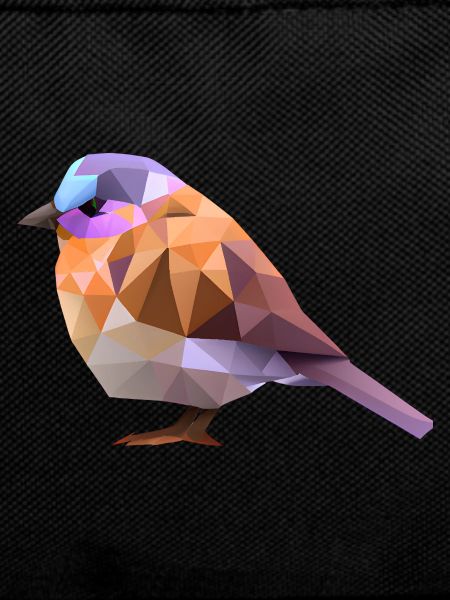 Conception d’oiseaux polygonaux