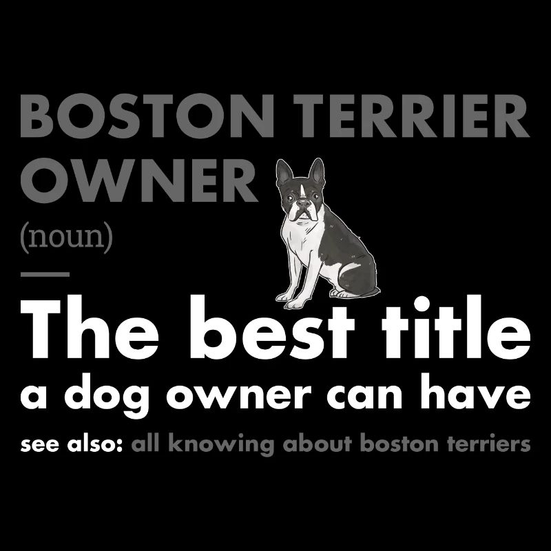 Boston Terrier Owner Definition