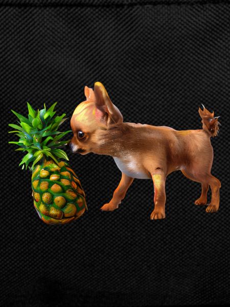 Chihuahua with pineapple