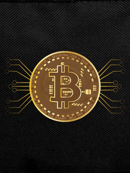 Bitcoin - Computer Logo