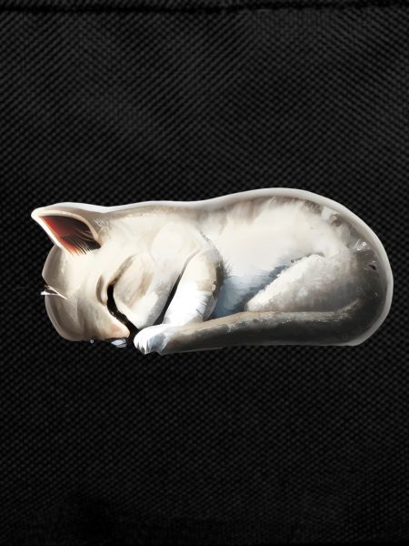 Sleeping cat