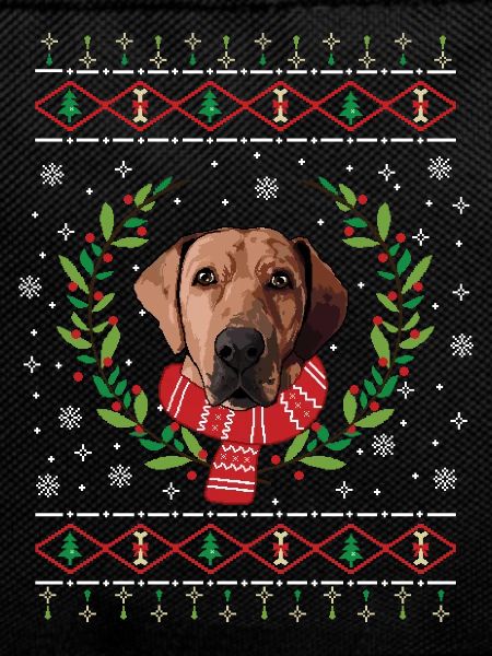 Broholmer Christmas sweater - gift