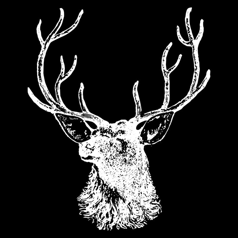 Deer Moose Antler Deer Head Hunter