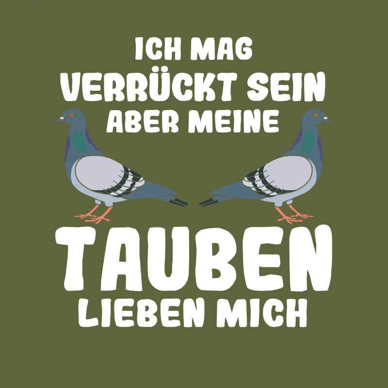 Taube Tauben Vogel