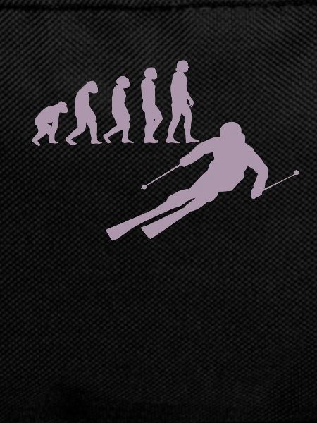 Ski skiers Skiing