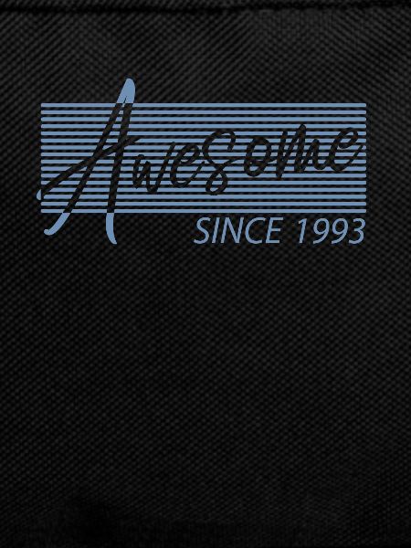 Awesome Since 1993 Birthday Retro