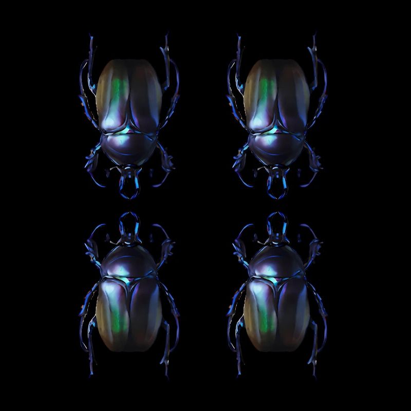 Dung beetle