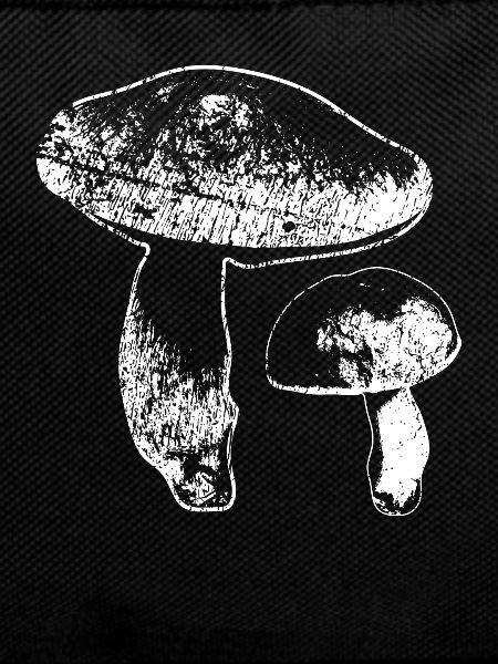 Boletuses