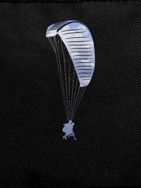 Paraglider paraglider pilot
