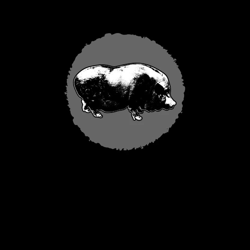 Hanging-bellyed pig pig