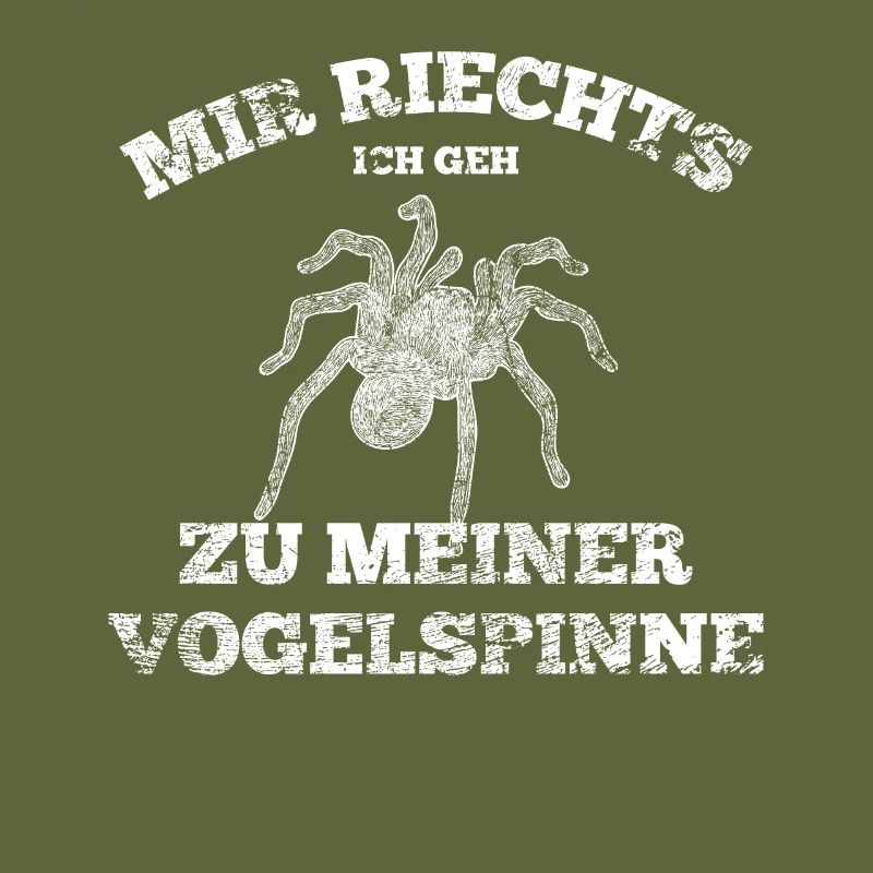 Spinne