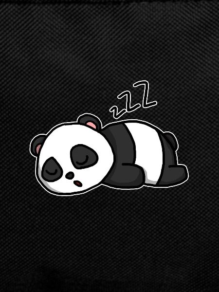 Cute Sleeping Panda Gift Idea