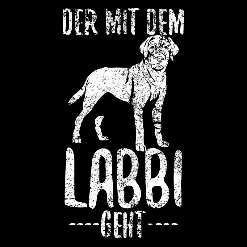 Labrador Labbi Gassi Gehen Papa Vater