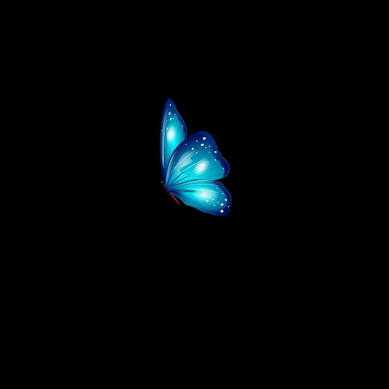 Papillon Moin