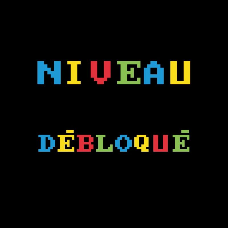 Niveau 40 débloqué mode adult activé