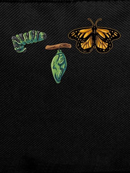 Evolution butterfly