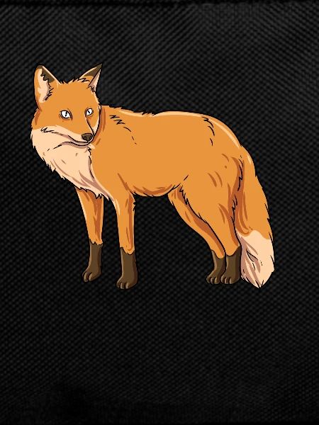 Fox Cunning Wildlife