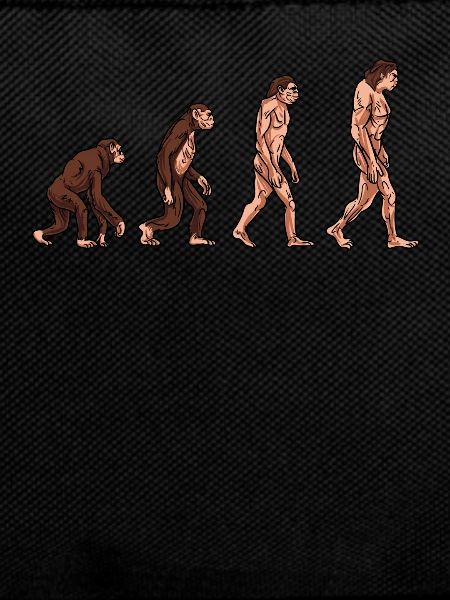 Human evolution