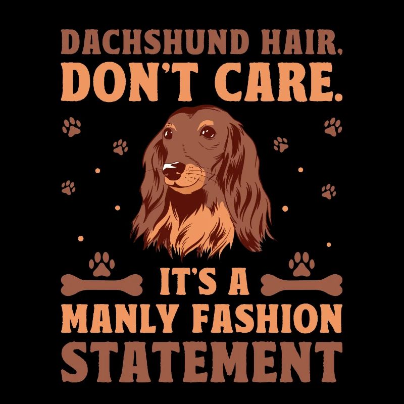 Les cheveux de teckel ne s’en soucient pas, c’est une déclaration de mode