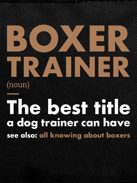 Boxer Trainer Definiton