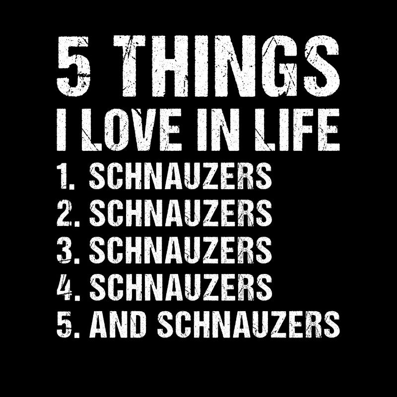5 choses que j’aime dans la vie Schnauzer