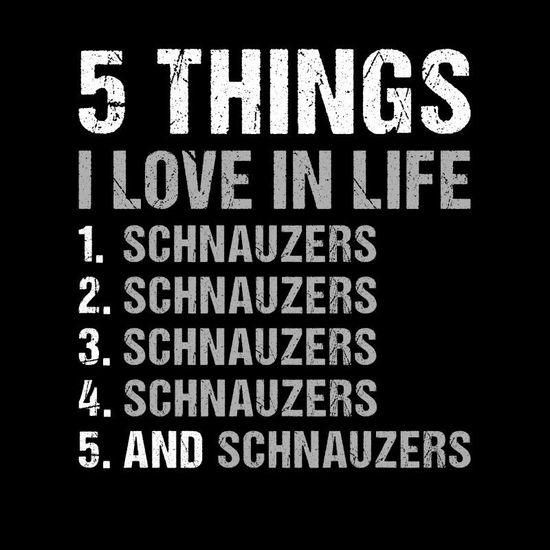 5 choses que j’aime dans la vie Schnauzer