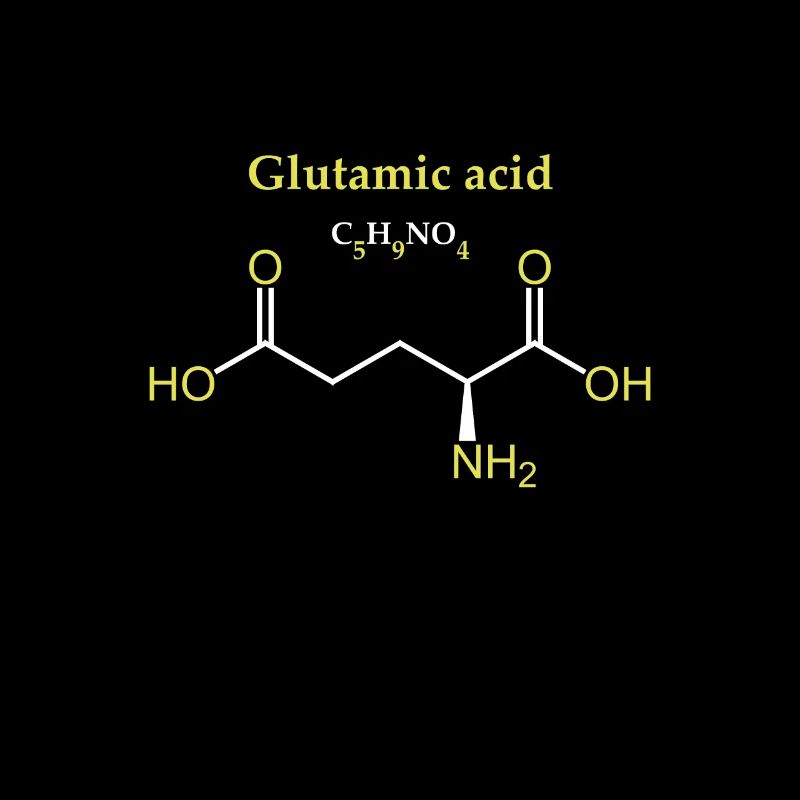Molécule d’acide glutamique