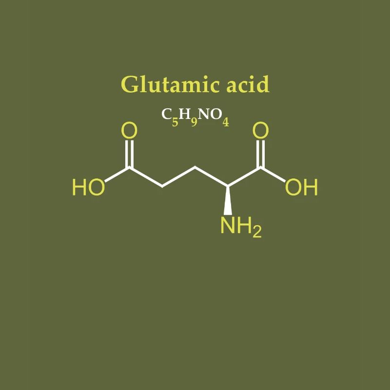 Molécule d’acide glutamique