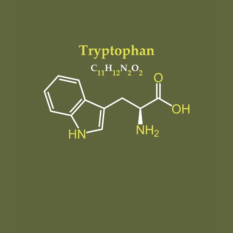 Tryptophan-Molekül