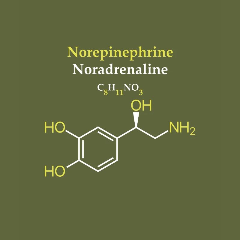 Norepinephrine Molecule
