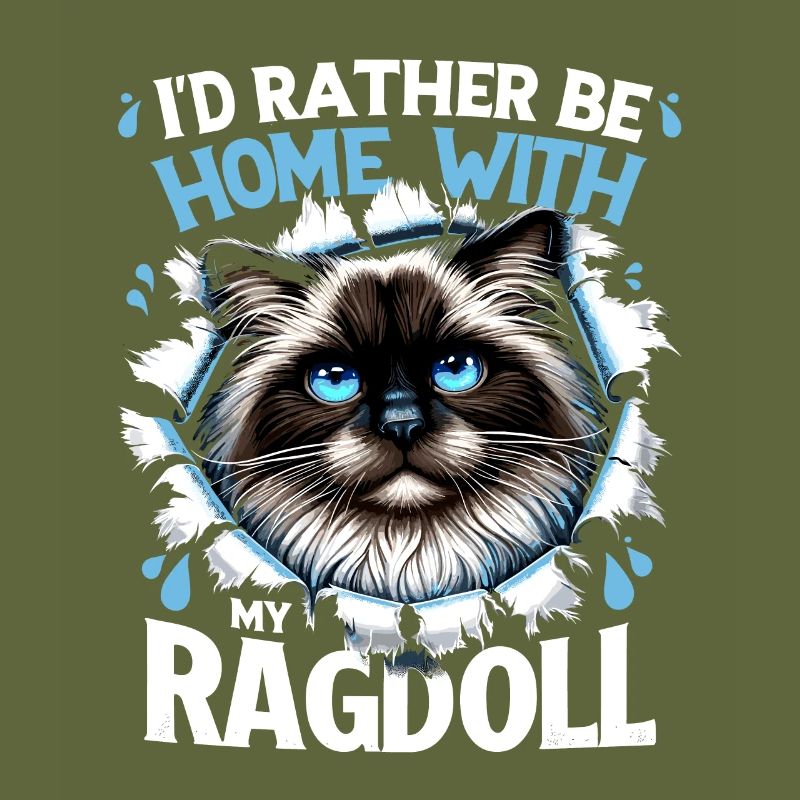 Je préfère être à la maison avec mon propriétaire Ragdoll Ragdolls