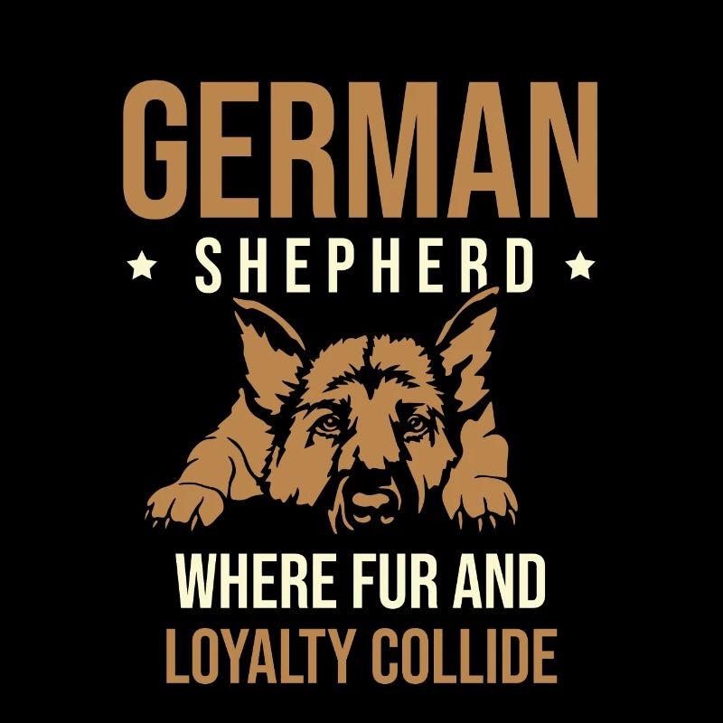 German Shepherd Where Fur And Loyalty Collide Dog