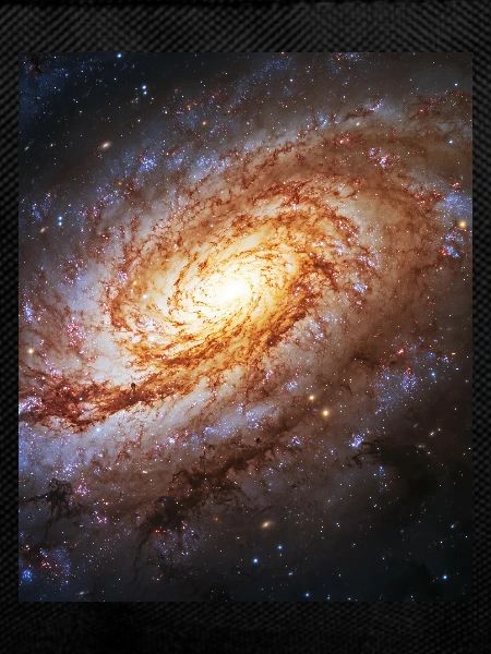 Galaxy Universe