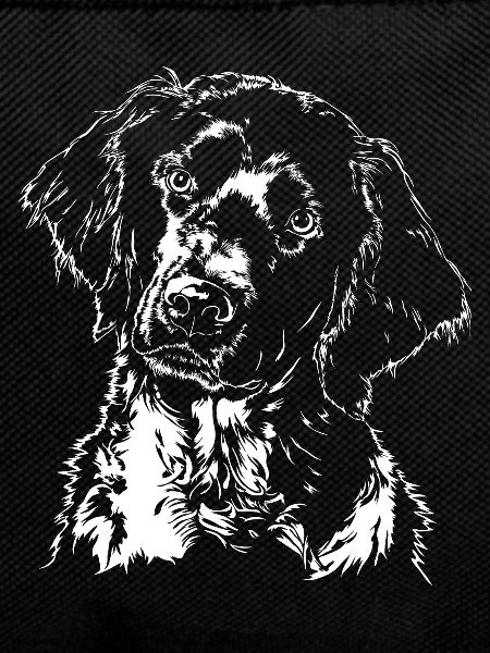 GROSSER MÜNSTERLÄNDER Jagdhund Jagdhunde Wilsigns