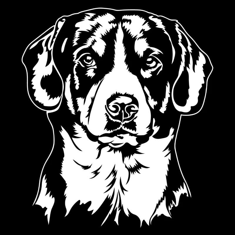 Entlebucher Sennenhund Portrait Hunde Wilsigns