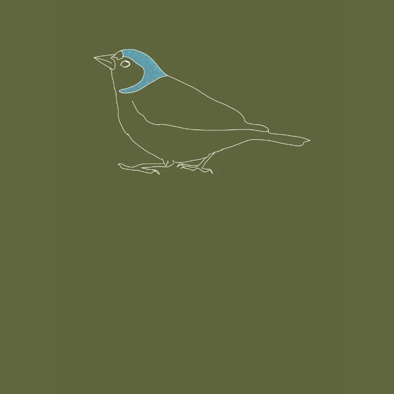Buchfink