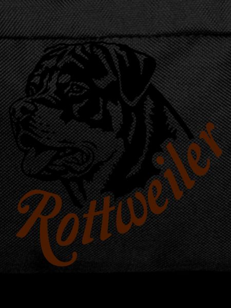 569 Rottweiler dog