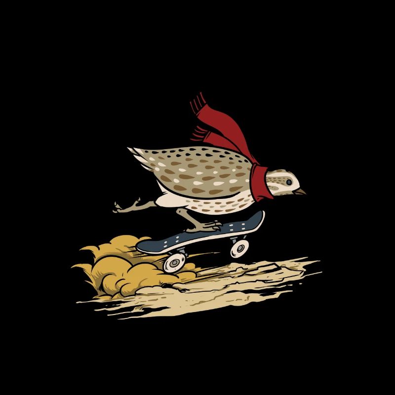 Quail on skateboard / quail