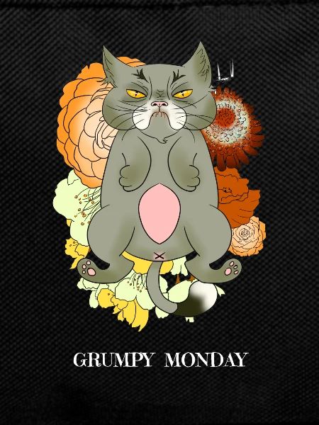 Chat Grincheux