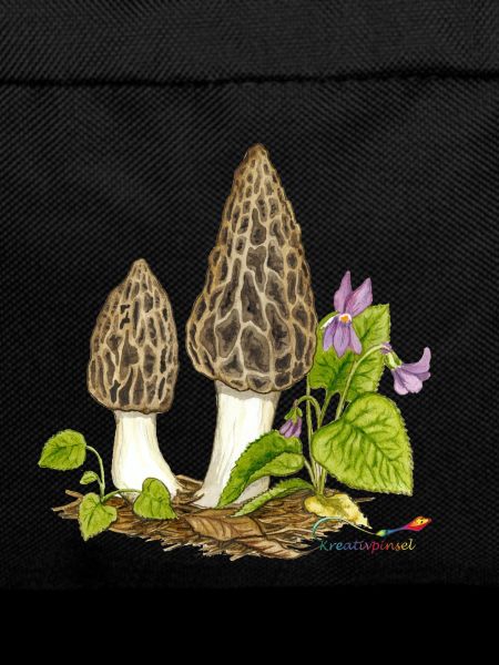 Pointed morel