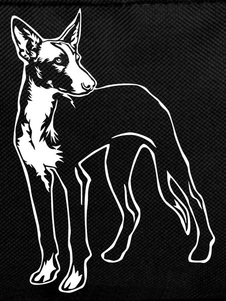 Podenco "Black Edition"