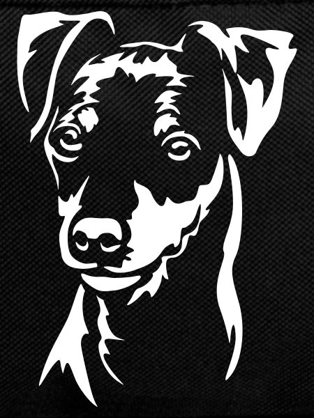 Zwergpinscher Head "Black Edition"