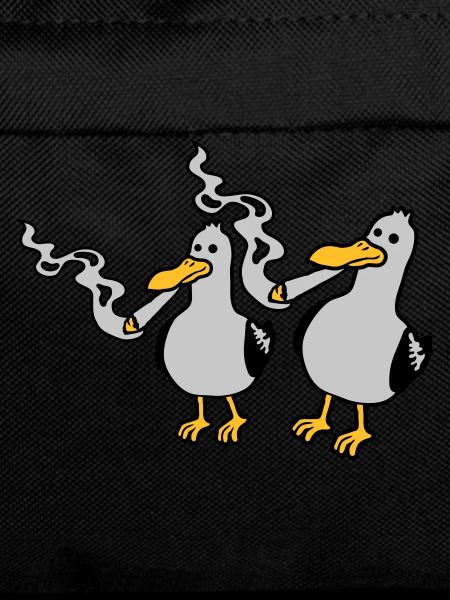 2 Stoner Seagull Friends