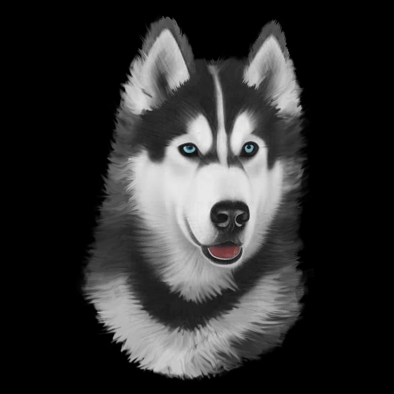 Husky peint
