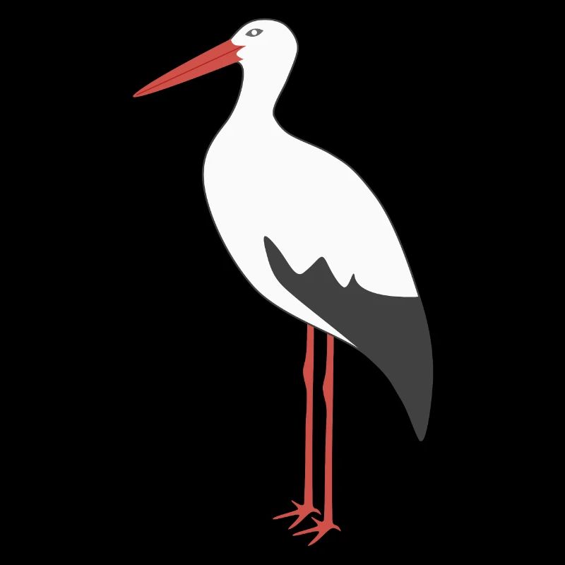 Cigogne blanche