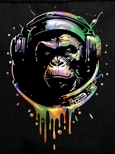 Singe Astronaute