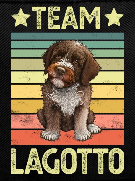 Dog Lagotto Romagnolo