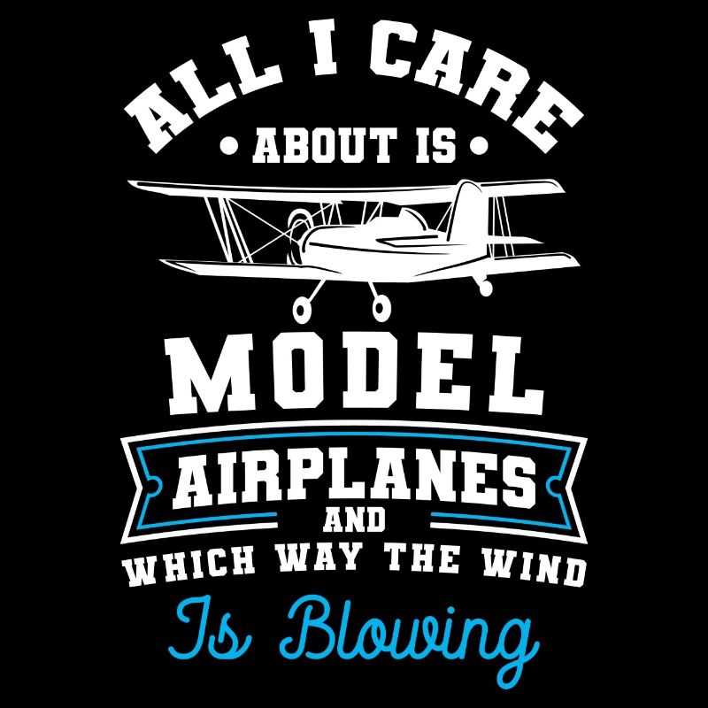 Model Airplane Airplane Pilot Model